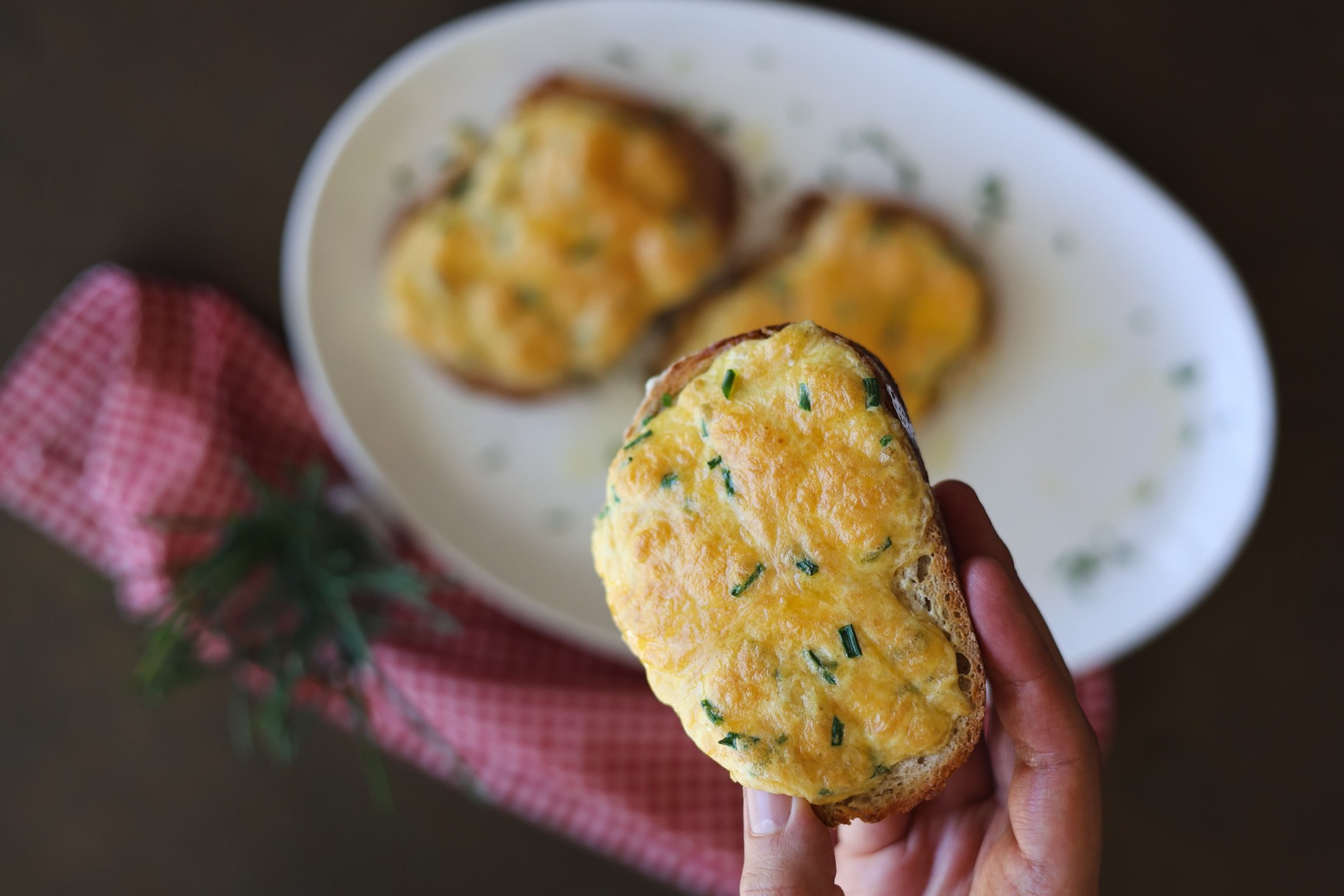Cheesy Grilled Open Sandwich